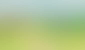 Landscape (preview)