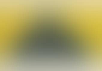 Untitled (Bird and Mountain Series) (preview)