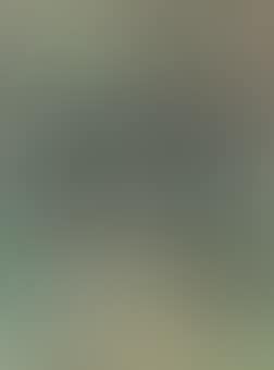 Untitled (Village) (preview)
