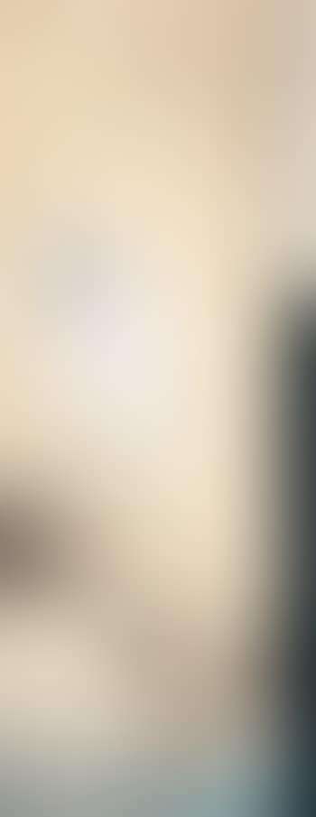 Egret (preview)