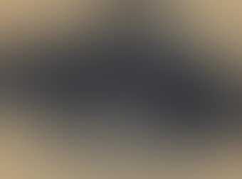 Untitled (Bull Fight) (preview)
