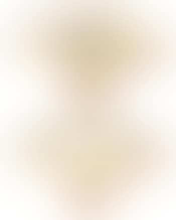 Landscape (preview)