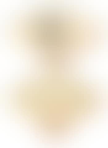 Landscape (preview)