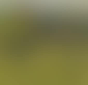 Sommerlandschaft I, Landschaft mit Bäumen und Hügeln (preview)