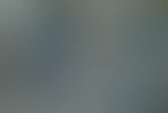 Paysage d'hiver (preview)
