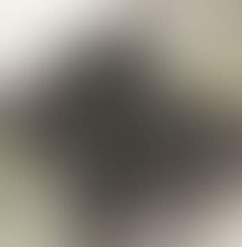 Lotus (preview)
