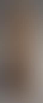 Bimorphic Theme (preview)