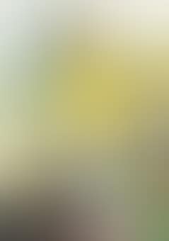 Stunde (preview)