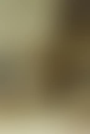 Pair of lions, watching a fire in the hazy veld (preview)