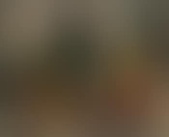 Nature morte (preview)