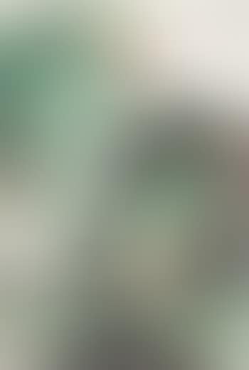 Landscape (preview)