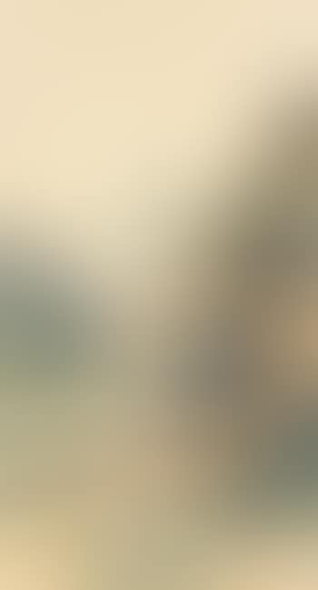 Landscape (preview)