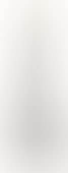 Spot Fender Telecaster (preview)