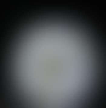 Vase with bunch (preview)