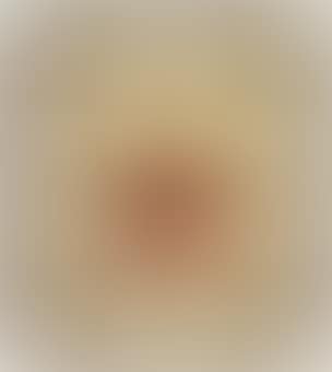 Portrait of a cardinal (preview)