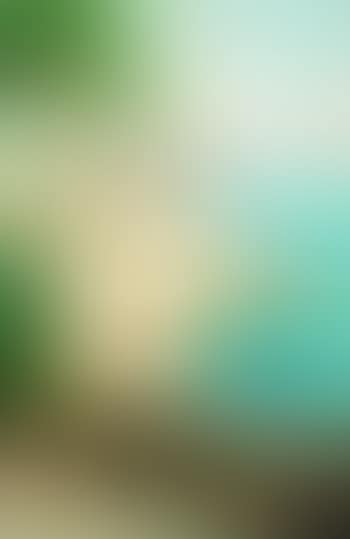 Amalfi (preview)
