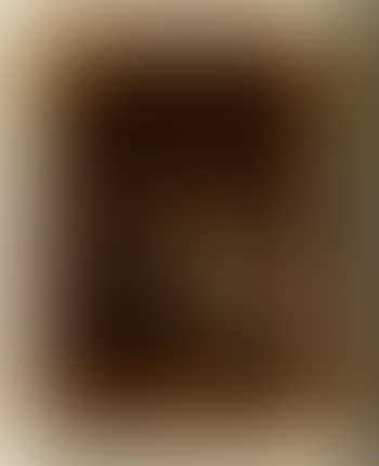 Vita quotidiana in interno (preview)