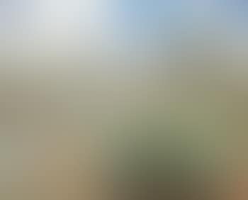 Paysage de Provence (preview)