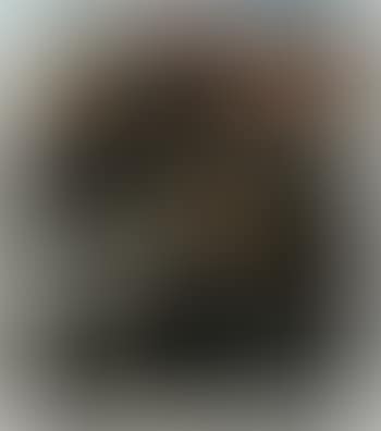 On demande direction (preview)