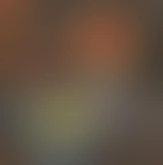 Still life (preview)