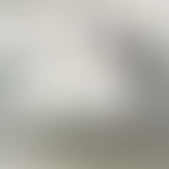 Two Egrets (preview)