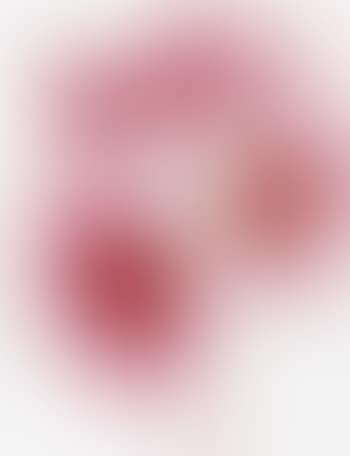 Les Fleurs (preview)