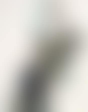 Sandra (preview)