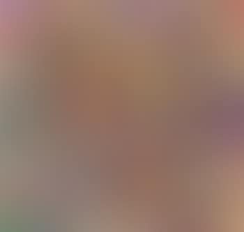 Nella Tua Vita Errante Fratello Mio.. (preview)