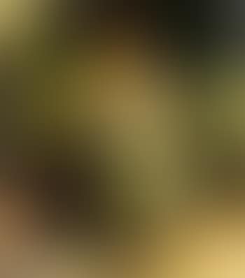 Frau mit Kind im Garten (preview)
