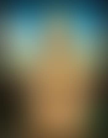 Portrait De Madame Winston Frederick Churchill Guest, Née Lucy Douglas Cochrane (preview)