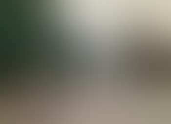 Brandenburg Gate (preview)