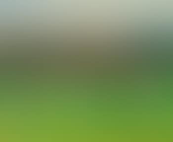 Paysage de Sanary (preview)