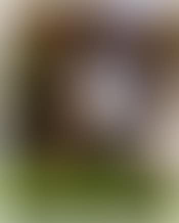 Landschaft (preview)