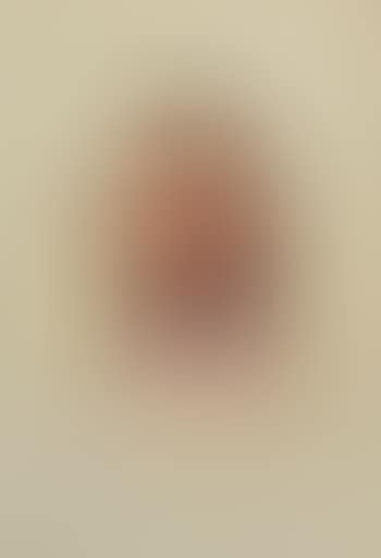 Nez Perce (preview)