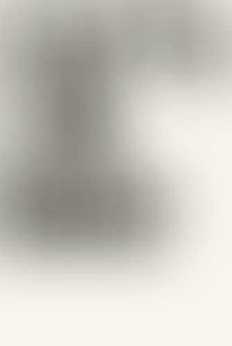 Untitled (P 137) (preview)