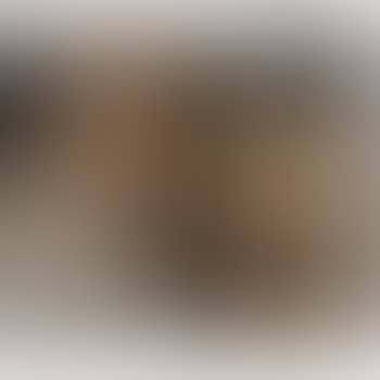 La Dormeuse (preview)