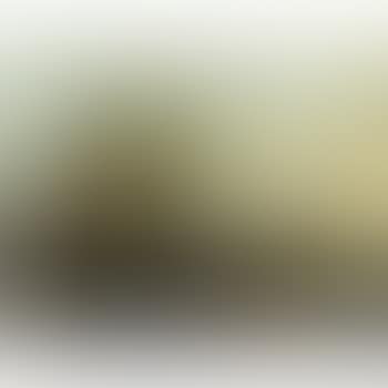 Paesaggio Fluviale Con Figure (preview)