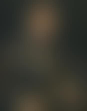 Portrait Of a Knight Of The Golden Fleece, Half Length, Holding The Baton Of a Military Commander (preview)