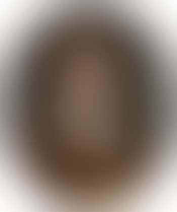Portrait Of a Boy, Sometimes Presumed To Represent Louis-charles, Duc De Normandie, Dauphin Of France (preview)