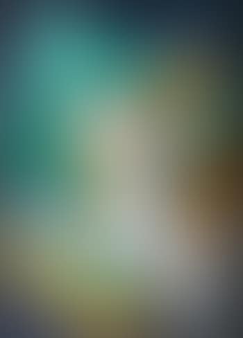 Verre Et Fruits (preview)