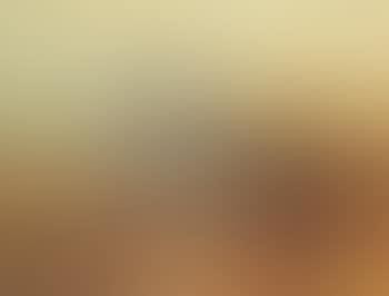 Lapwing (preview)