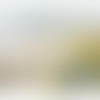 4.12.83 (preview)
