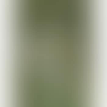51 (preview)