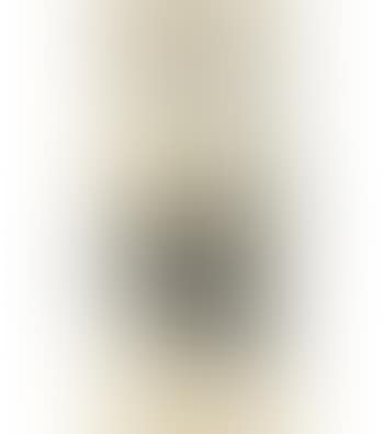 Landscape (preview)
