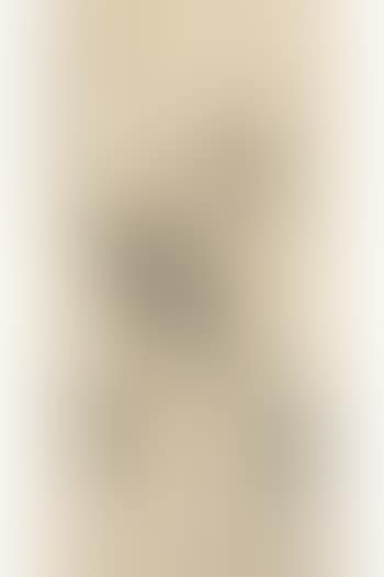 Inscriptions on the rubbing of drinking vessels by Wu Changshuo  by Wu Dacheng (preview)