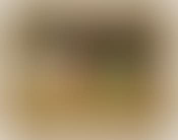 Still life of fruit (preview)