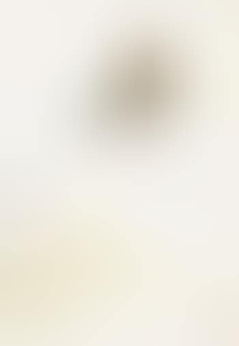 Yellowbird and grass (preview)