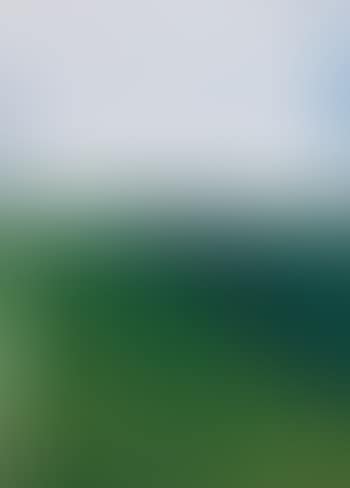 Buttercup fields forever I (preview)