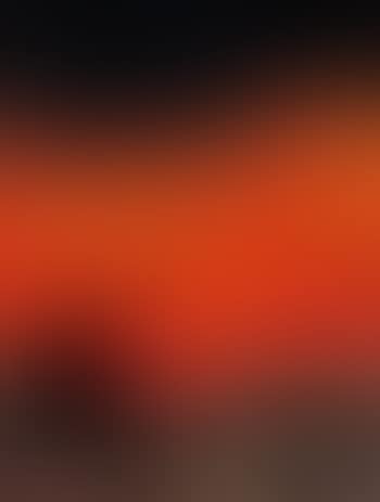 Abstract (preview)