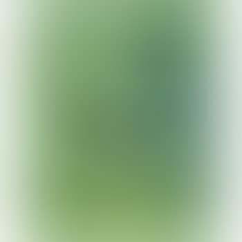 Screens For Other, Or The Gaze Of Green Vacuums (preview)